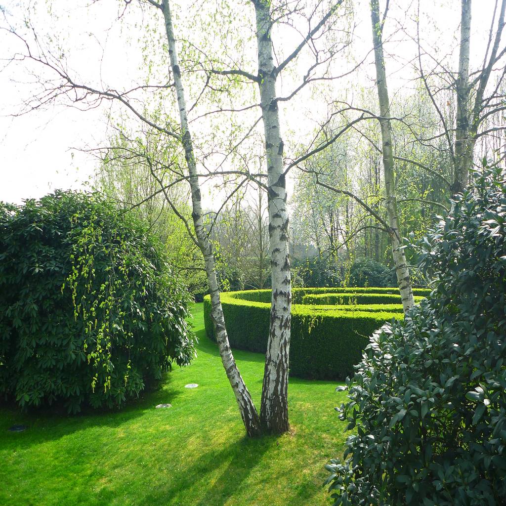 Architects residence minimalistischer garten von mk2