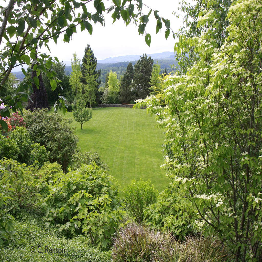 Einblicke in den sommerlichen landhausgarten garten im