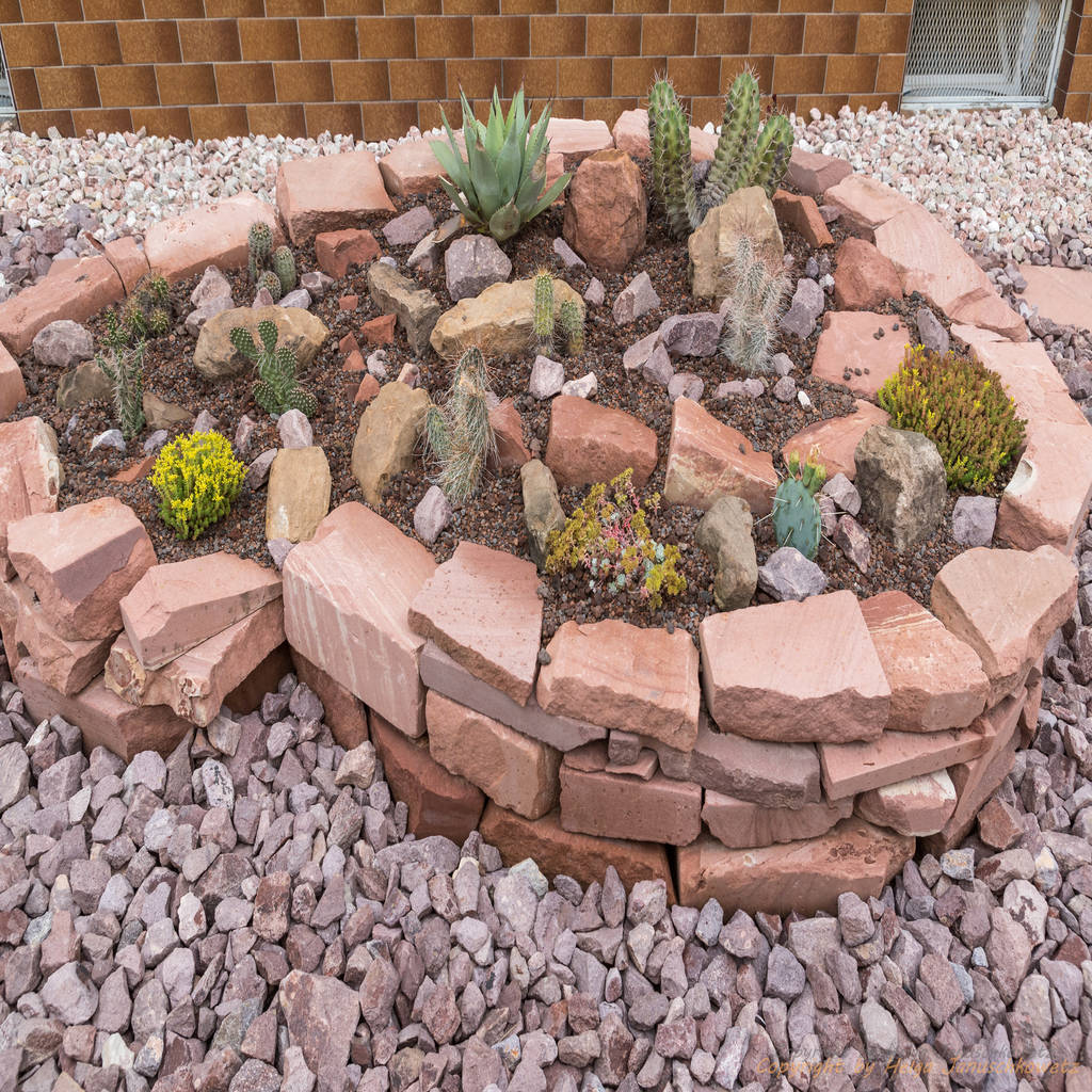Sandsteinspirale mit kakteen mediterraner garten von ...