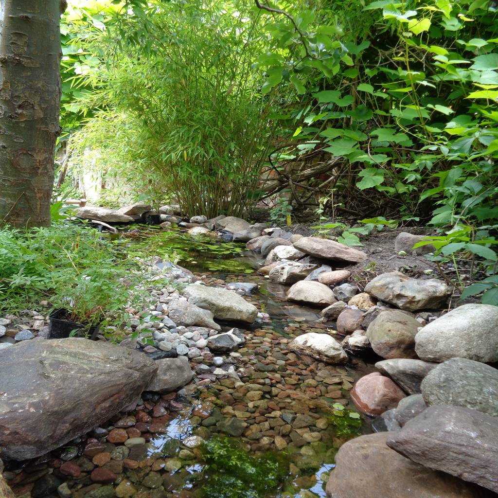 Der plantasie - garten tropischer garten von gartenarchitekturbüro timm