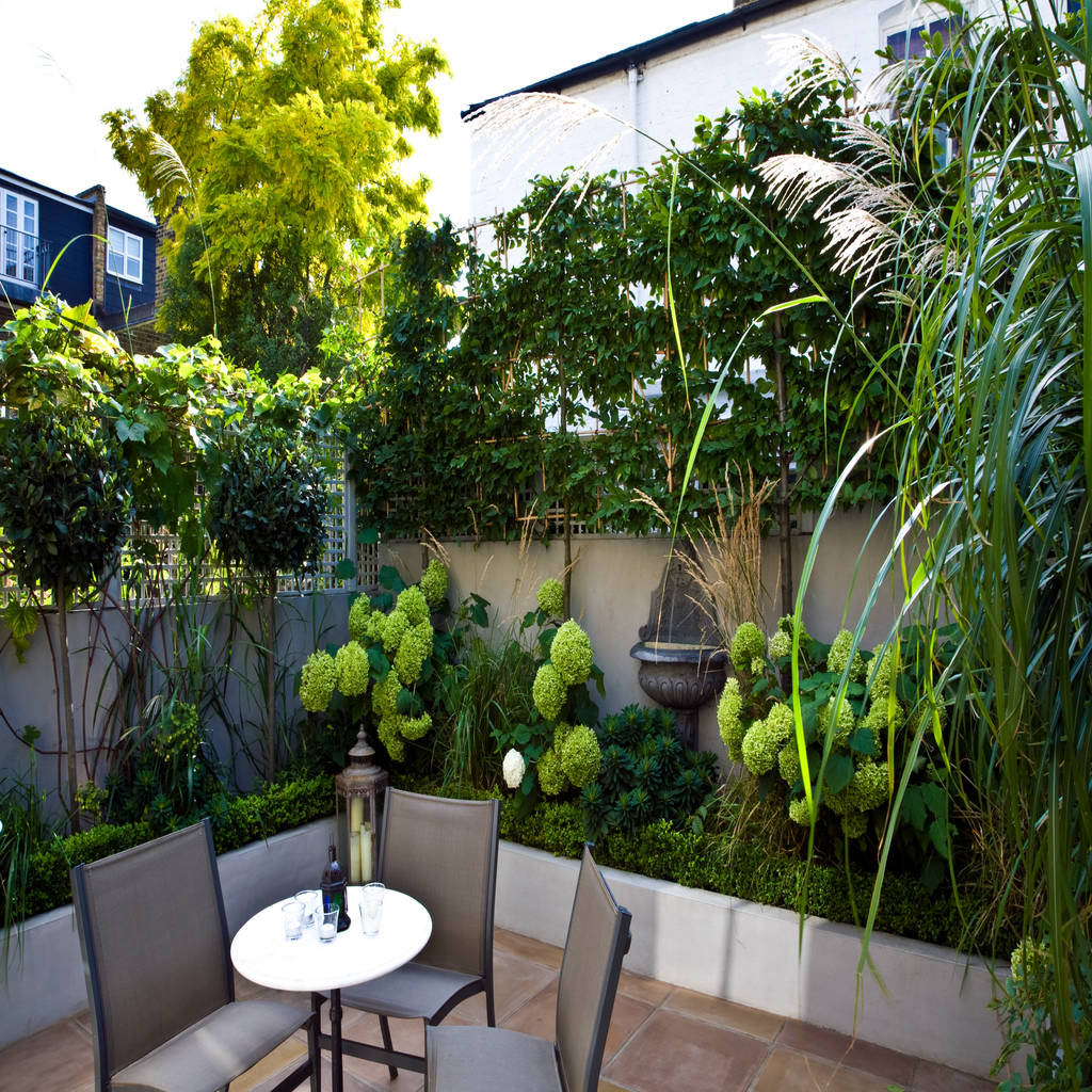Privacy in a small london garden | homify