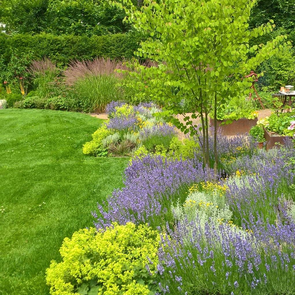 Kuchengarten Ausgefallener Garten Von Grasgrau Gartendesign Ausgefallen Homify