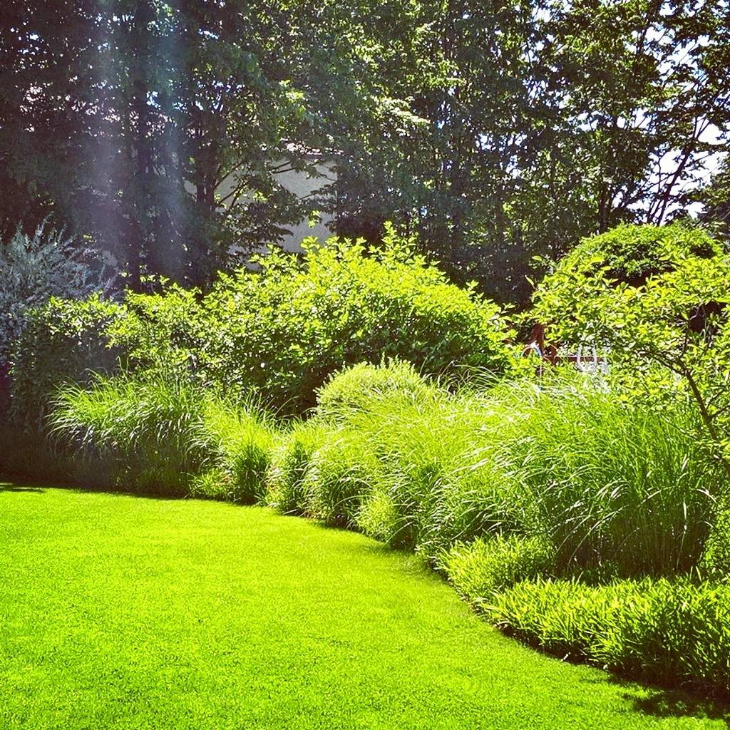 Gräsergarten minimalistischer garten von grasgrau ...