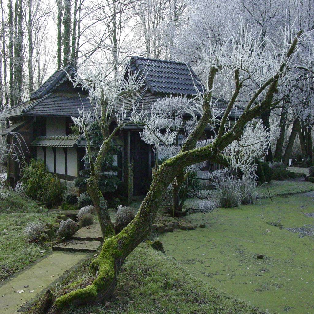 Japanische Taetowierte Extrem Onanieren