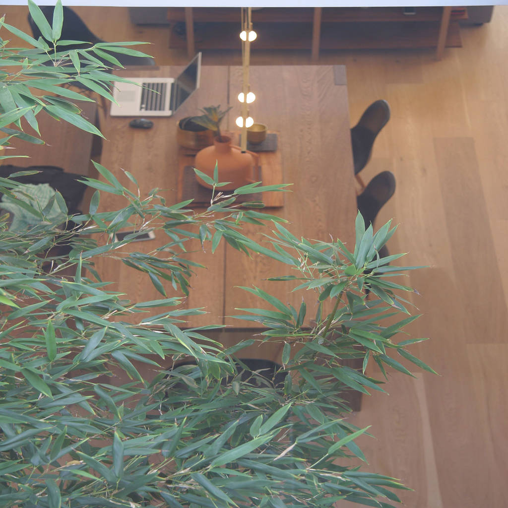 Ateliersun comedores modernos derivados de madera acabado en madera