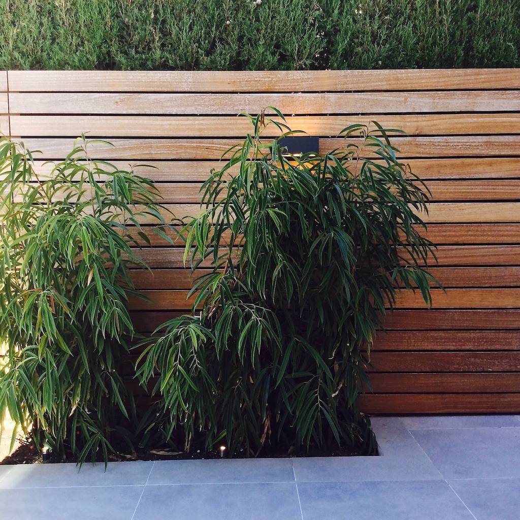 Proyecto de integración de salón comedor con exterior – jardín en