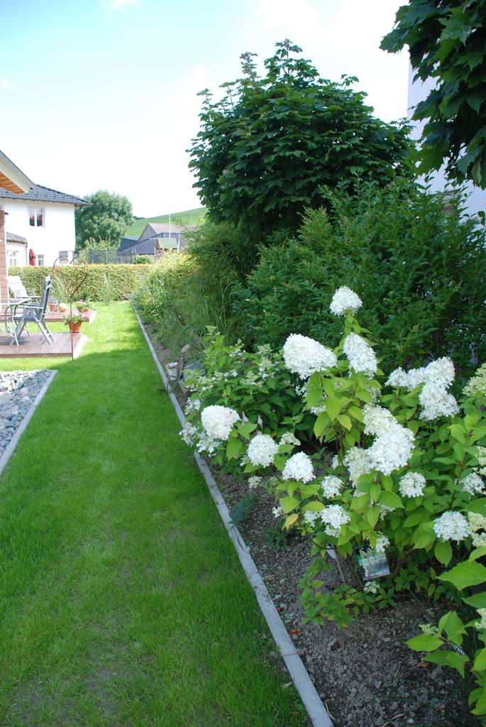 Modern Garden By Wilhelmi Garten Und Landschaftsarchitektur Modern Homify