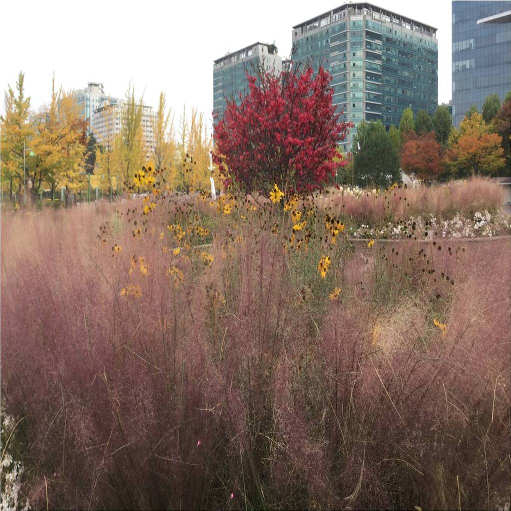 가드닝 프로젝트 - 2016. 고양시 호수공원: 가든디자인 뜰(garden design 뜰)의  정원 | homify