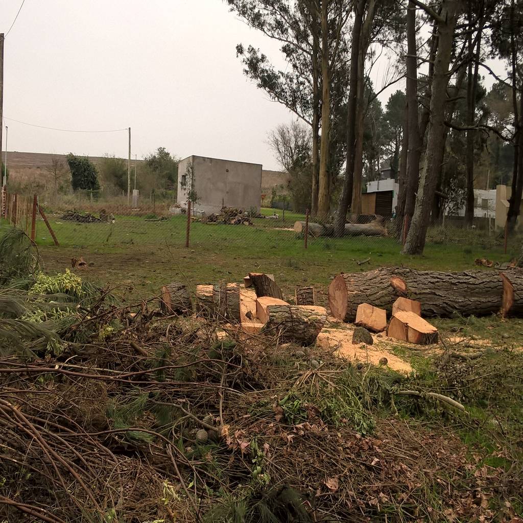 Diseño de eco- parque en sierra de los padres lt paisaje diseño