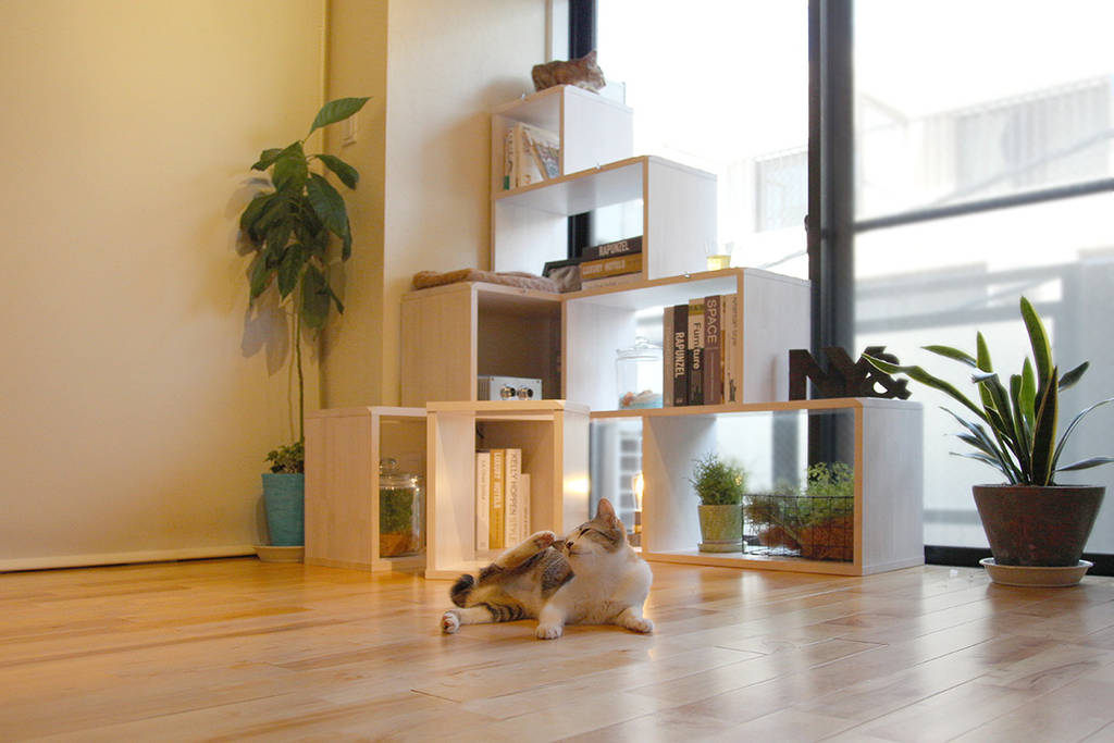 猫家具ニャンド nyand shelf - root, 一級建築士事務所アンドロッジ