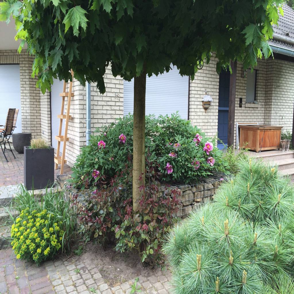 Wohngarten uphoff garten und landschaftsbau mediterraner ...