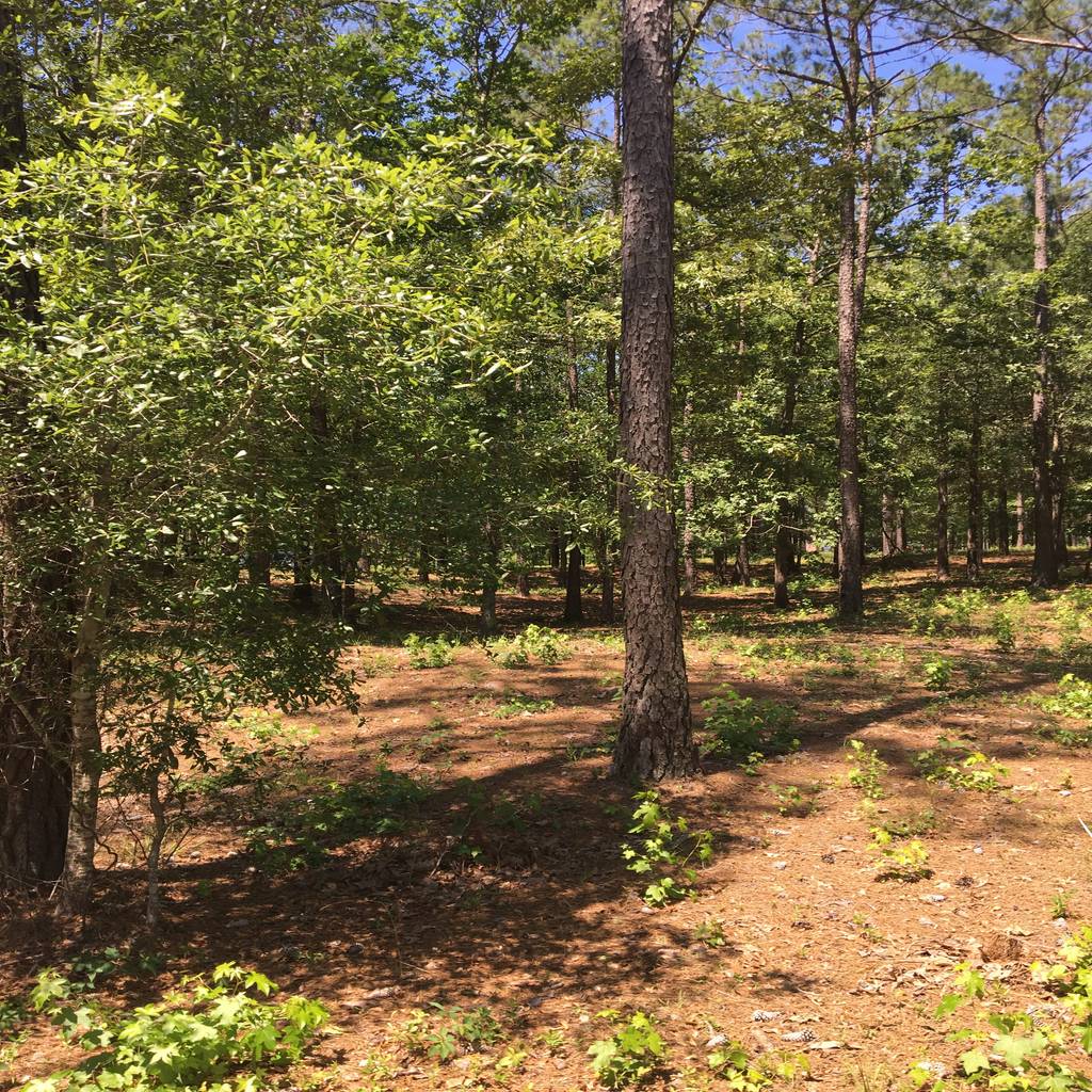 584 hearthside drive 0.4 acres, oakwood ventures by jones pharr homify