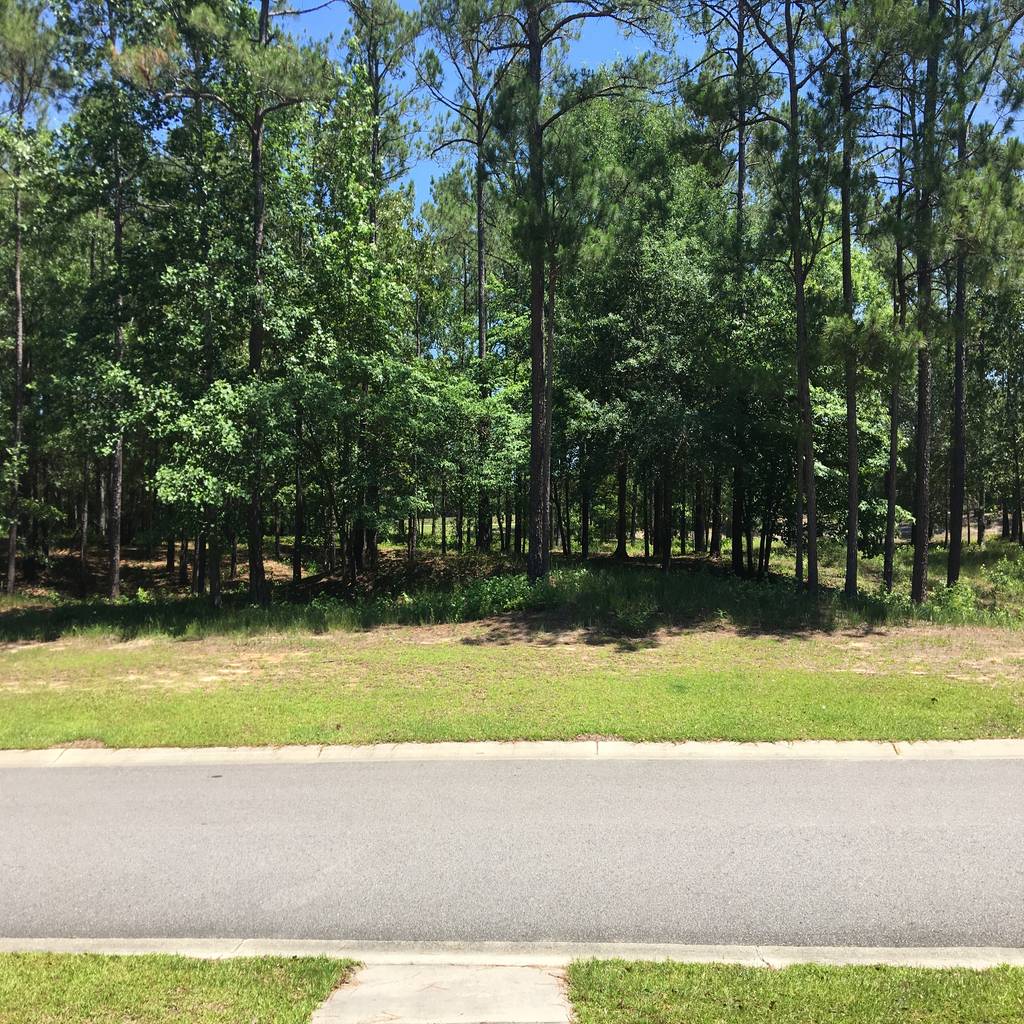 Jardines minimalistas de oakwood ventures by jones pharr minimalista homify