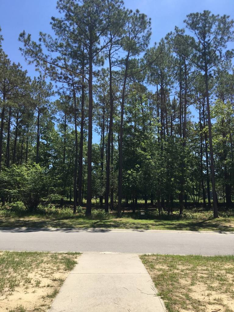 592 ashbury drive 0.36 acres homify