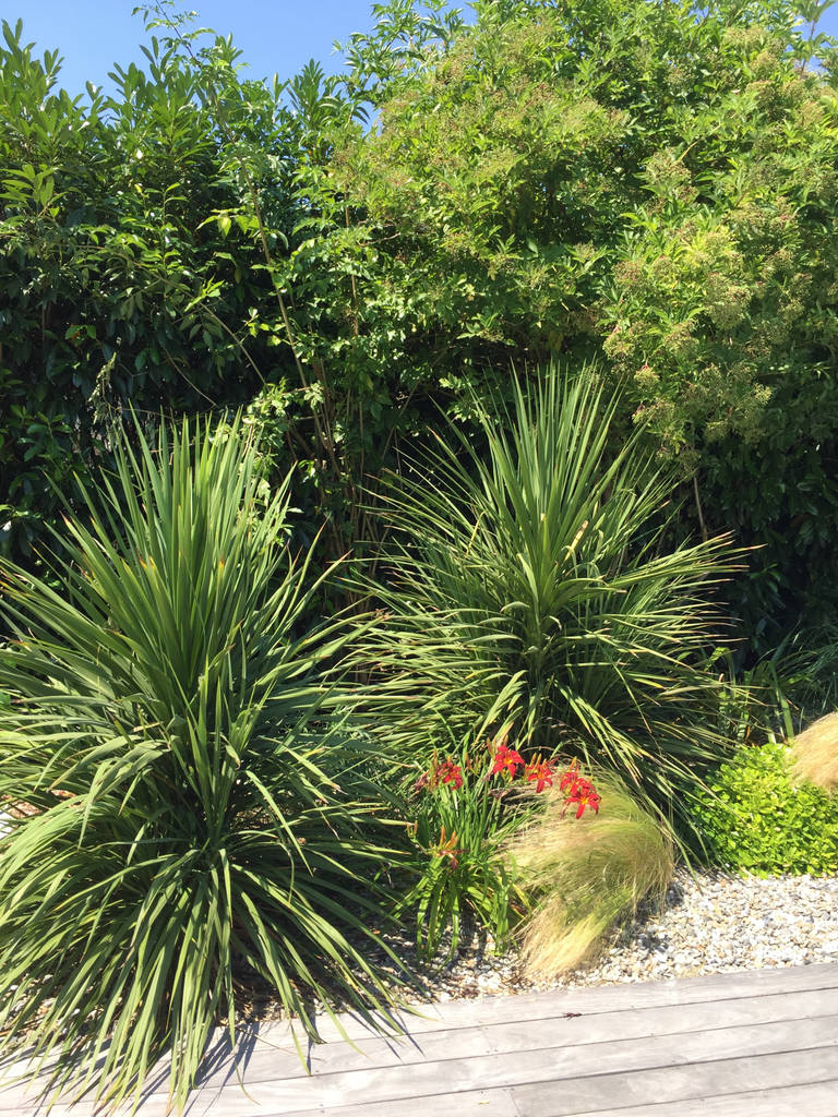 Garden By Paradeisos Conception De Jardin Tropical Homify