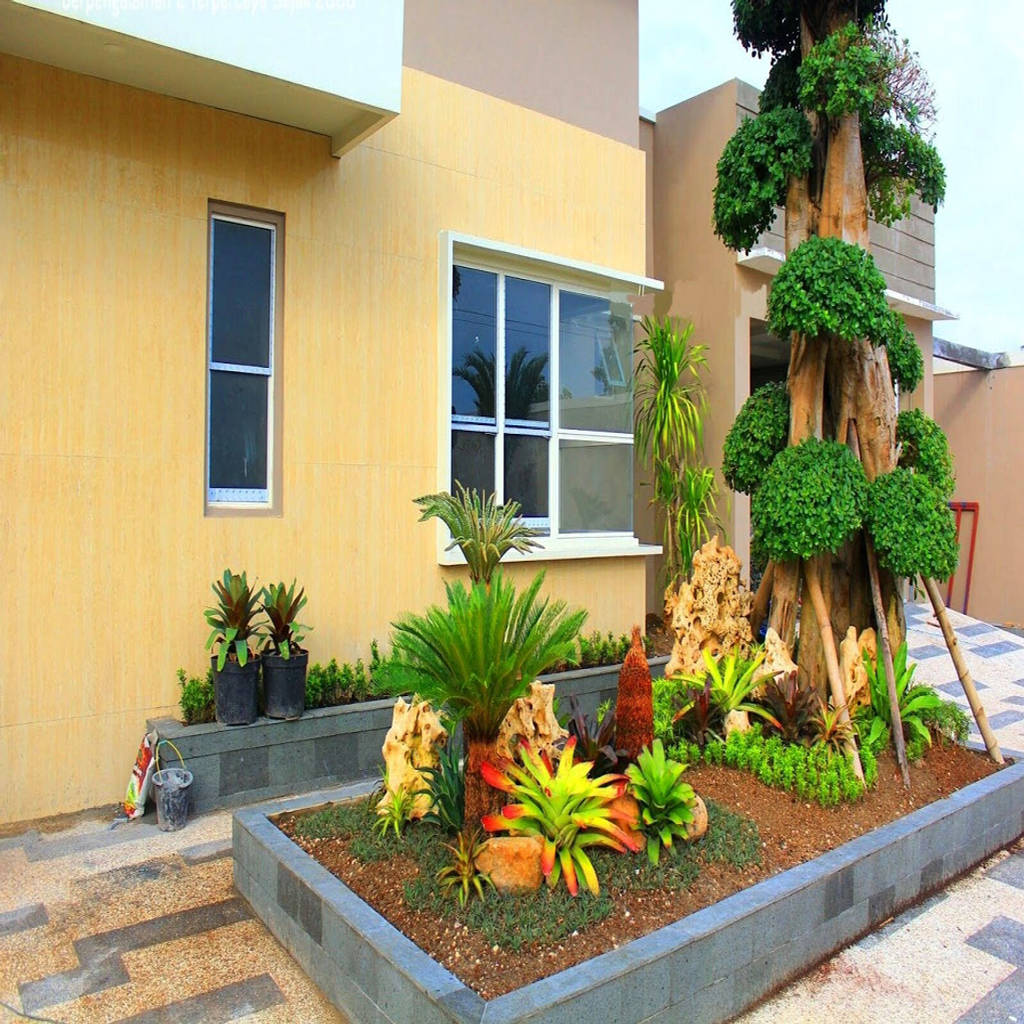 Desain taman mewah dengan bonsai dollar oleh tukang taman ...