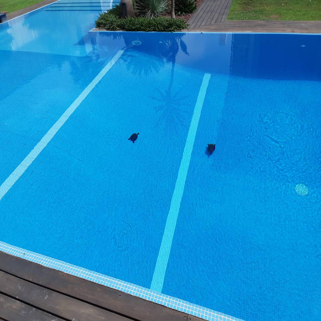 By Afc Piscinas Modern Homify