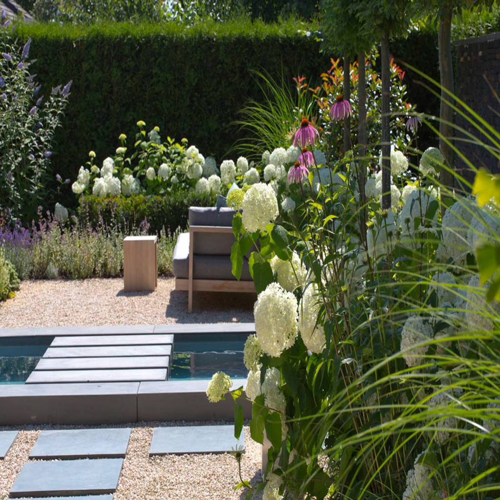 Gartengestaltung, daldrup gärtner von eden homify