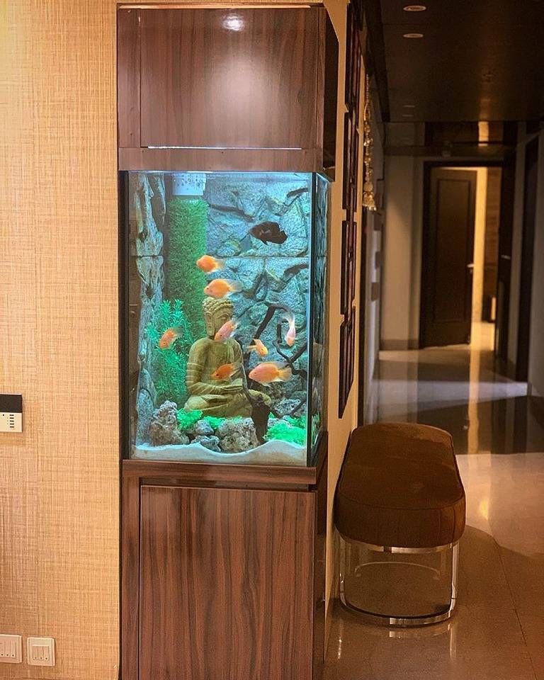 Photo inspiration: Private Aquarium Design Studio Reference: Buddha Themed Custom Aquarium Aquarist Design Studio