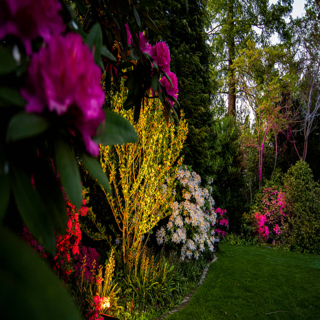 Ein garten im neuem licht, moreno licht mit effekt lichtplaner homify