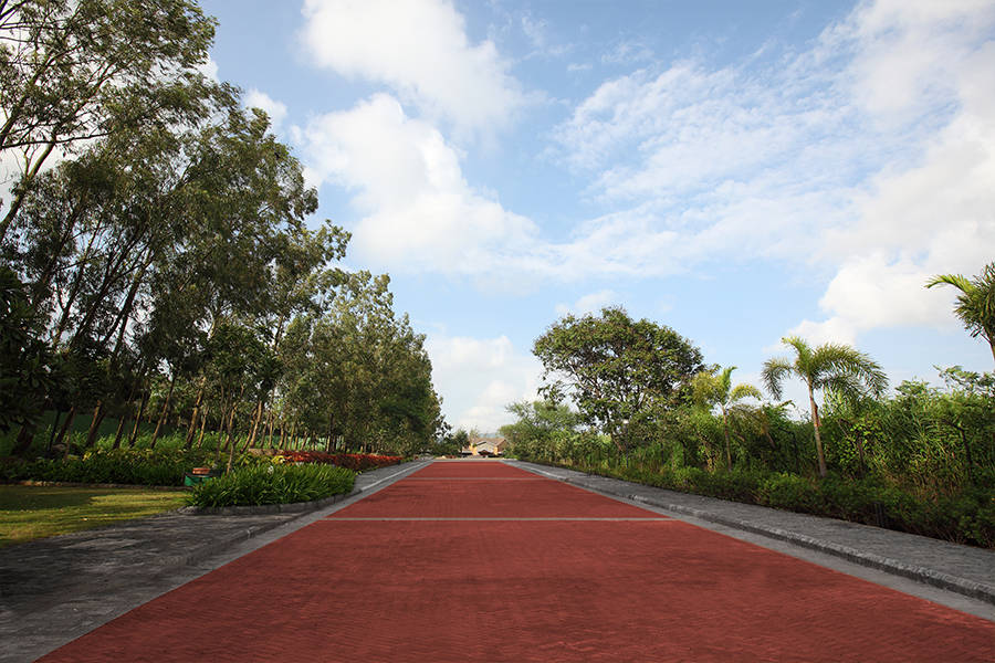 Entrance pathway | homify