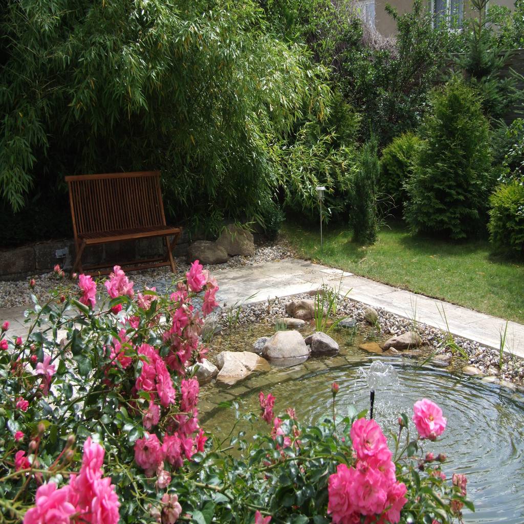 Moderner garten bilder vom pool zum naturteich homify