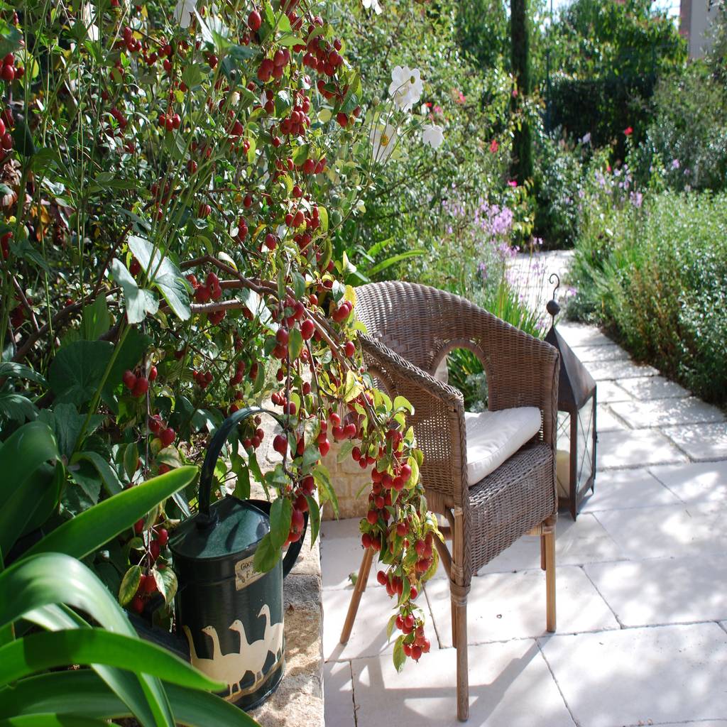 Foto di giardino in stile in stile eclettico un 39 oasi for Immagini di giardini