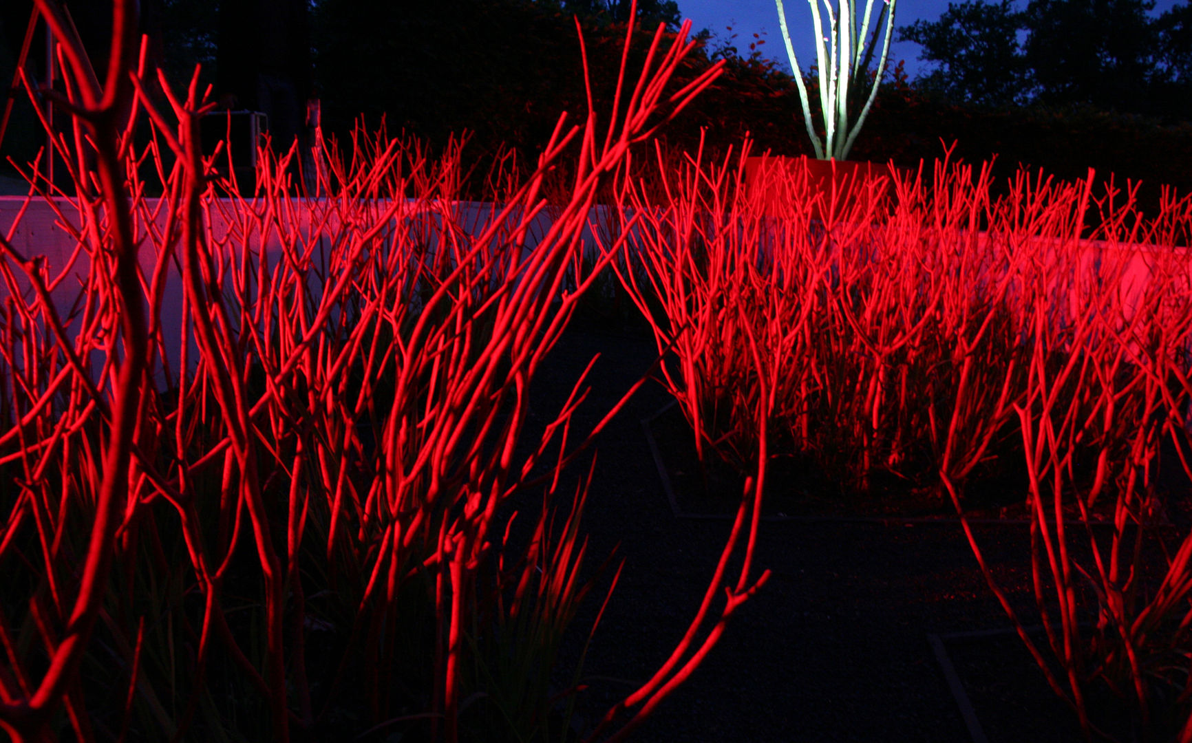 Festival International des Jardins "La couleur des éléments" homify Garten