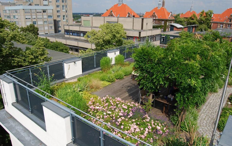 Wiegmann-Klinik, Berlin, Optigrün international AG Optigrün international AG بلكونة أو شرفة