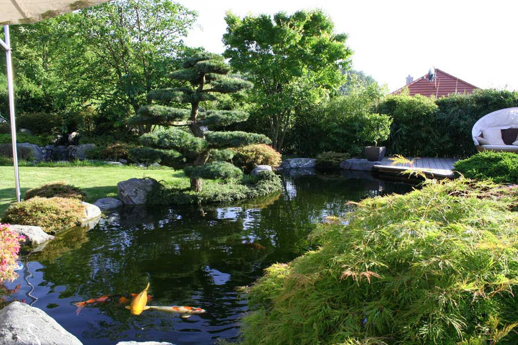 Kompletter Garten in Freiburg, Kirchner Garten & Teich GmbH Kirchner Garten & Teich GmbH Moderner Garten Wasser,Pflanze,Himmel,Baum,Natürliche Landschaft,Wasserlauf,Strauch,Gras,Bodendecker,Freizeit