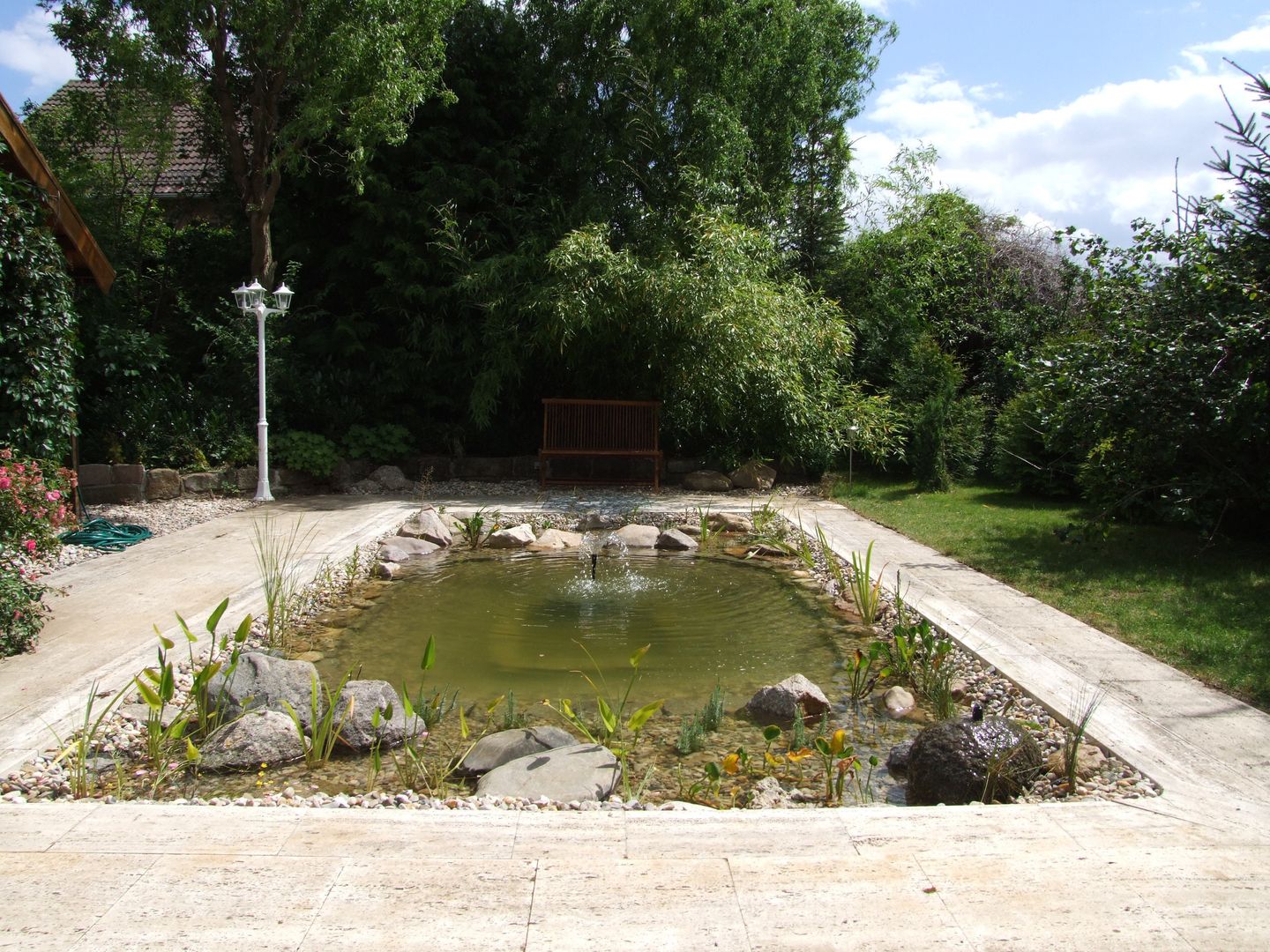 Vom Pool zum Naturteich, Schönberg. Pflanzdesign Schönberg. Pflanzdesign Modern style gardens