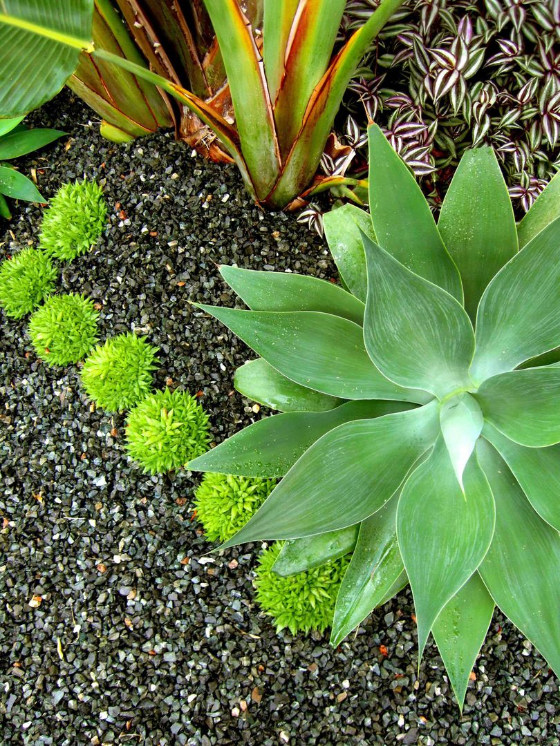 HOATZÍN, Simbiosi Estudi Simbiosi Estudi Jardines de estilo moderno