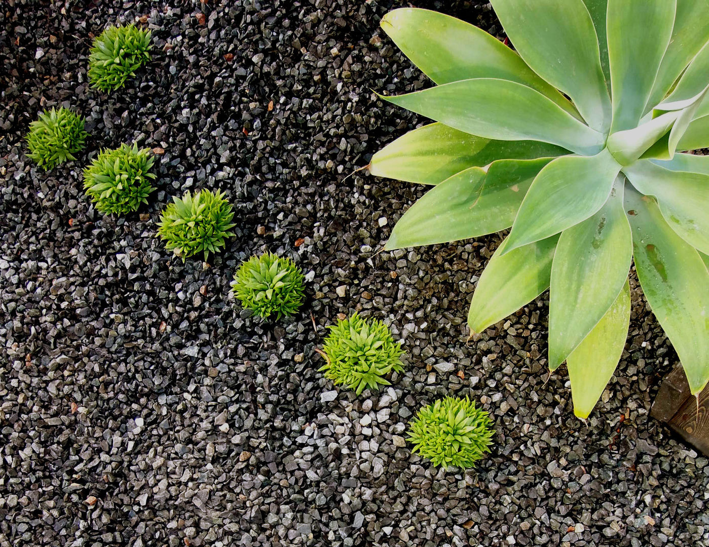 Detalles, Simbiosi Estudi Simbiosi Estudi Garden