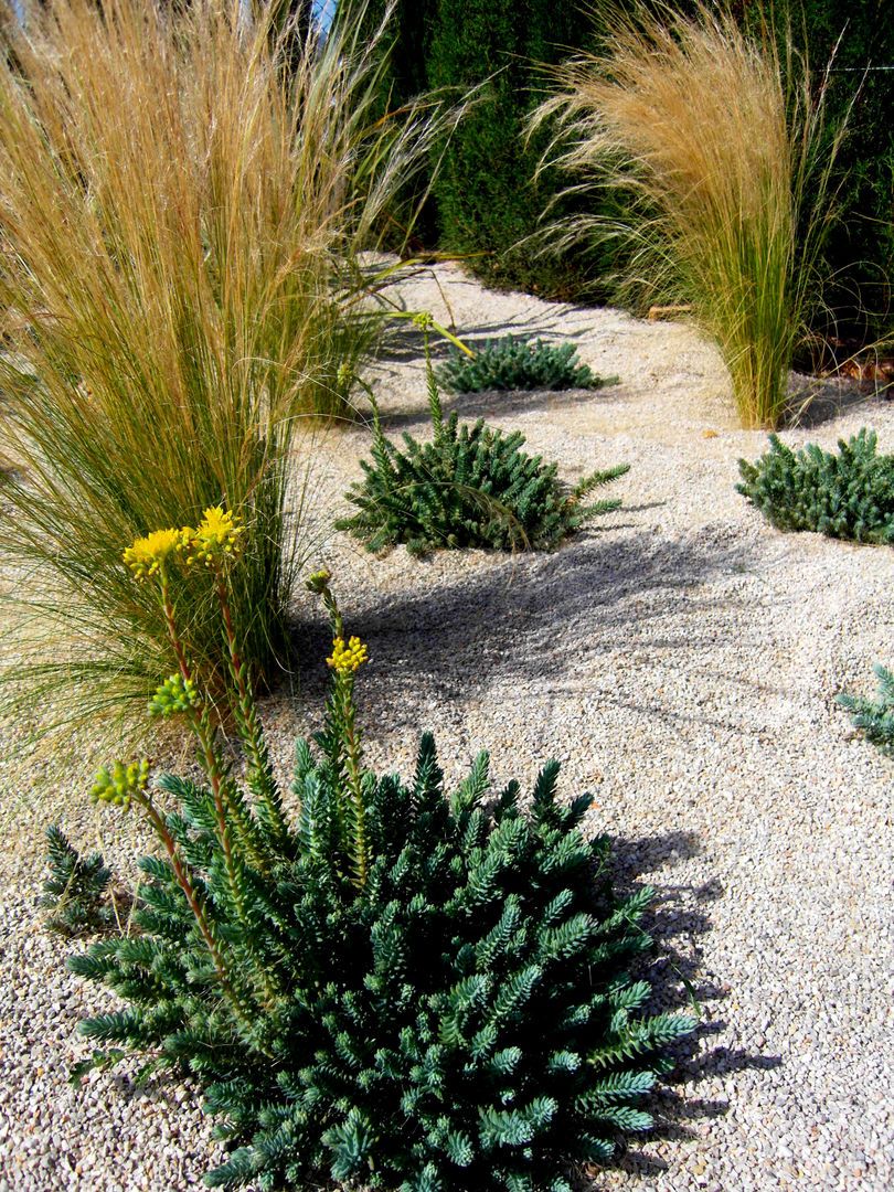 Detalles, Simbiosi Estudi Simbiosi Estudi Jardines modernos