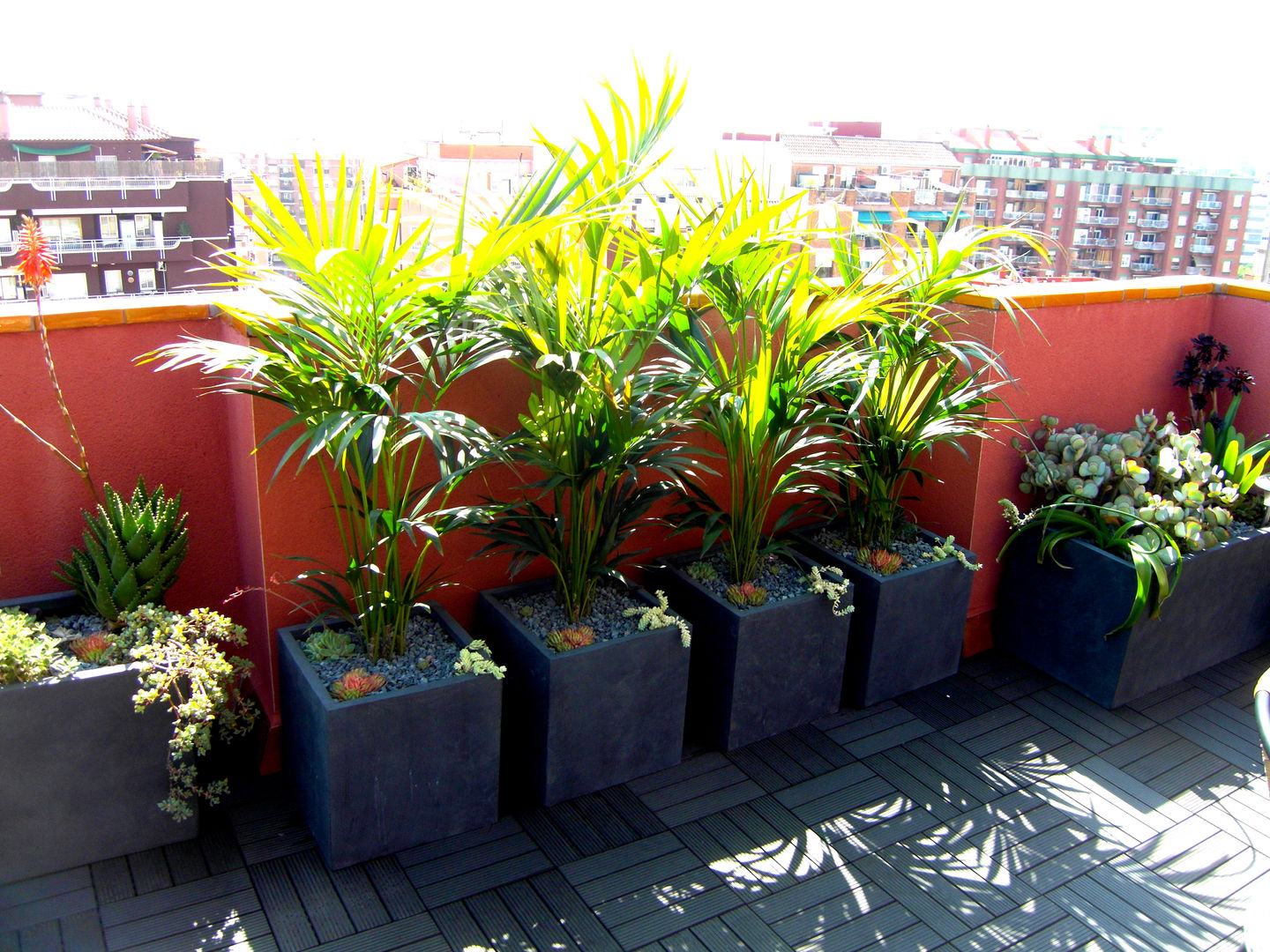 Barcelona-Meridiana, Simbiosi Estudi Simbiosi Estudi Garden