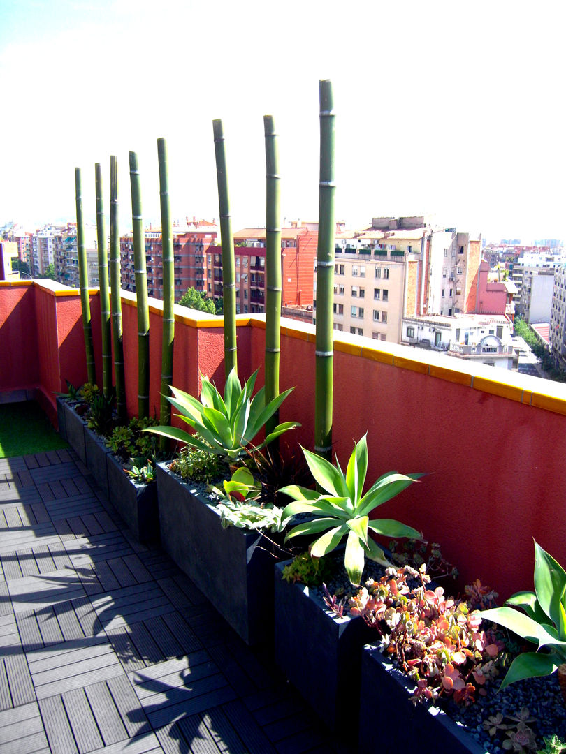 Barcelona-Meridiana, Simbiosi Estudi Simbiosi Estudi Jardines modernos