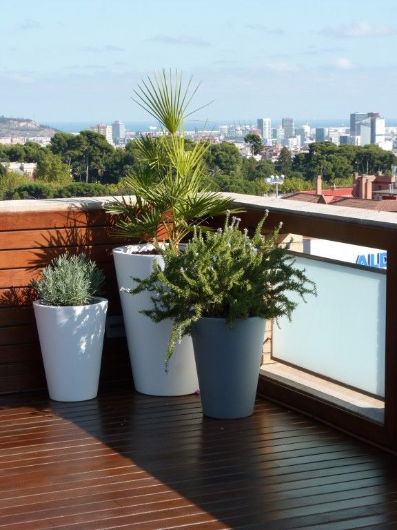 ​REMODELACIÓN DE TERRAZAS Y INTERIOR DE UN ÁTICO EN ESPLUGUES DE LLOBREGAT, Taller de Paisatge Taller de Paisatge Balcones y terrazas mediterráneos