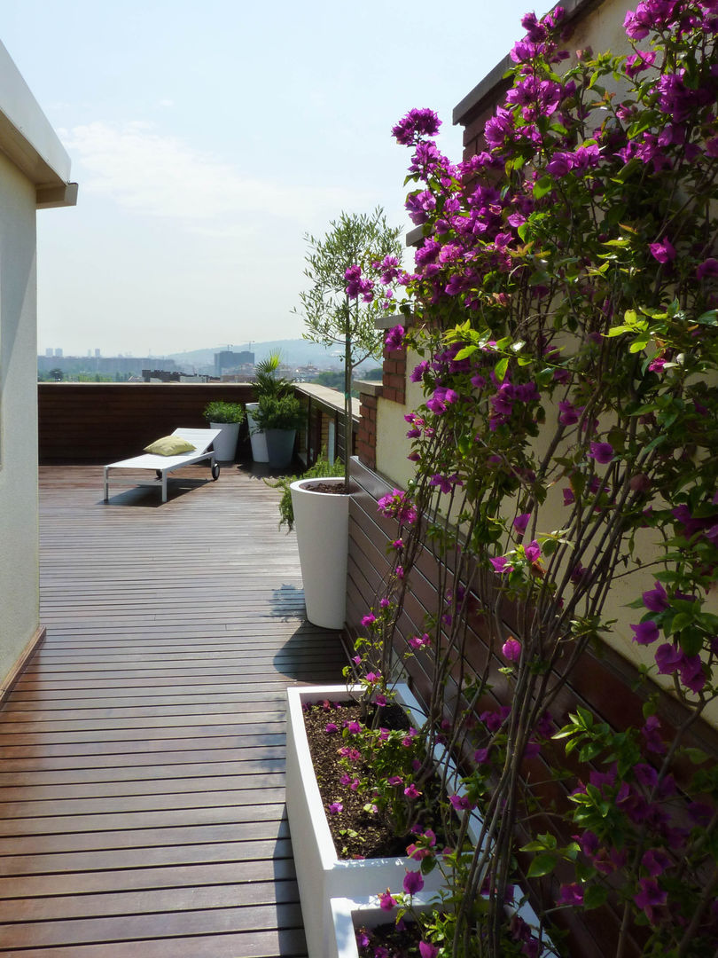 ​REMODELACIÓN DE TERRAZAS Y INTERIOR DE UN ÁTICO EN ESPLUGUES DE LLOBREGAT, Taller de Paisatge Taller de Paisatge Varandas, marquises e terraços mediterrânicos