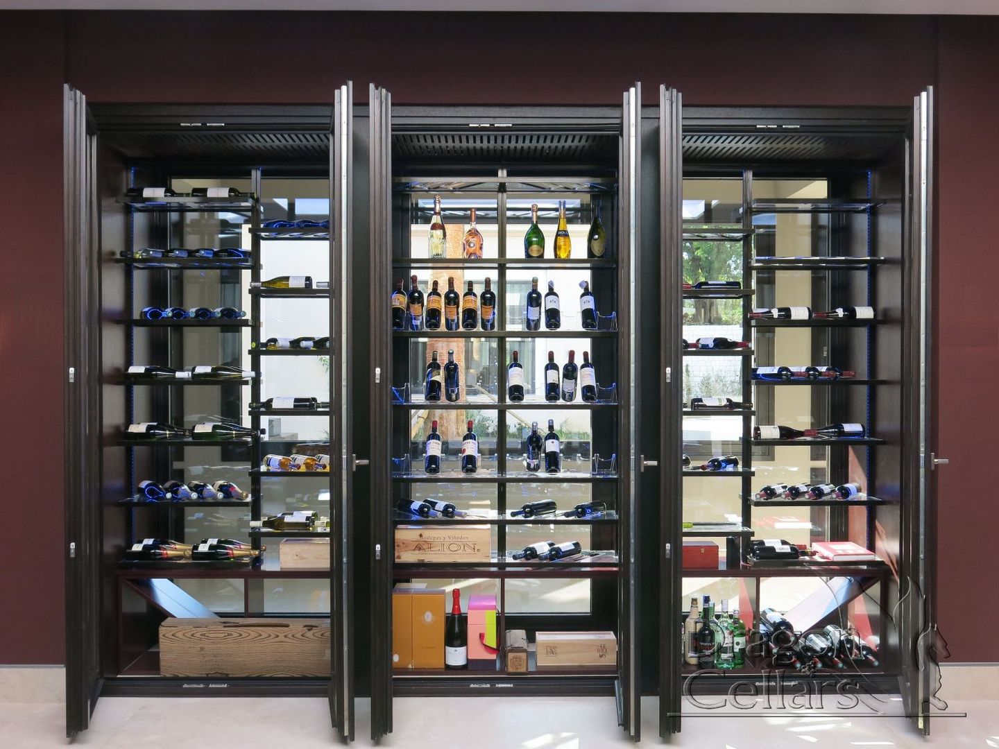 Bodegas Residenciales, Dragoncellars Dragoncellars Hầm rượu phong cách hiện đại