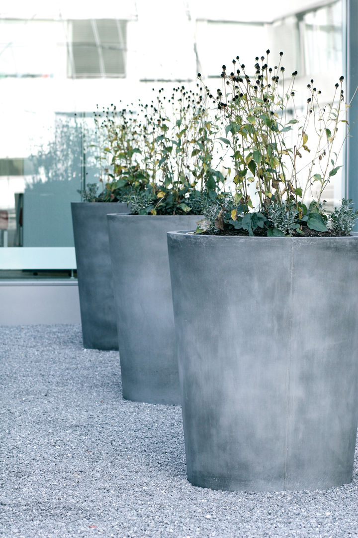 Pato, Concrete Rudolph GmbH Concrete Rudolph GmbH Balkon, Beranda & Teras Modern Plants & flowers