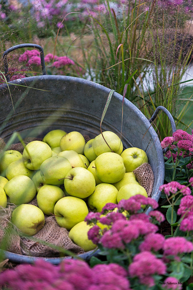 'Tutti giù per terra', Barbara Negretti - Garden design - Barbara Negretti - Garden design - Taman: Ide desain, inspirasi & gambar