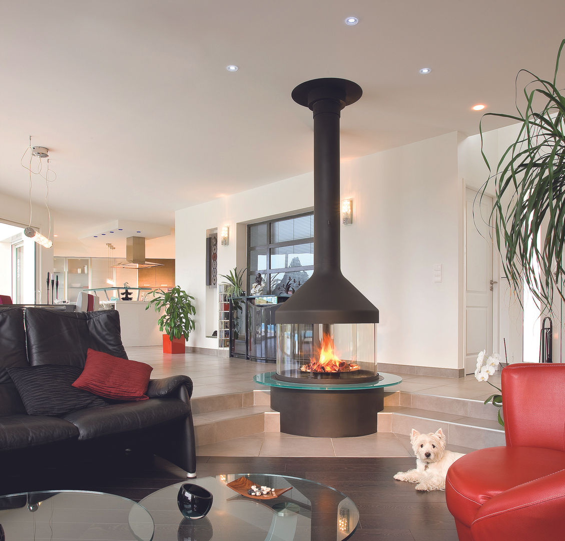 Meijifocus Fire homify Salones modernos Chimeneas y accesorios