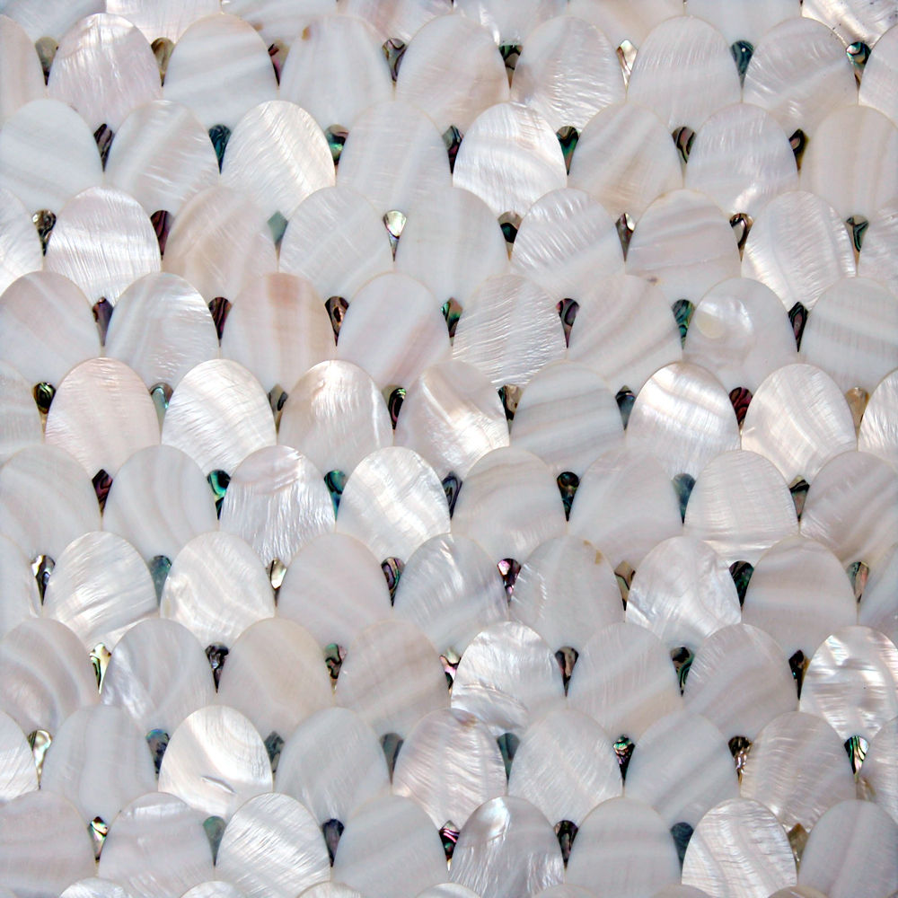 Freshwater Mother of Pearl with Paua Shell ShellShock Designs Tường & sàn phong cách hiện đại Tiles