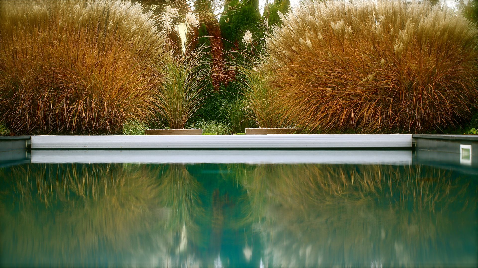 Jardin Zen, Art Bor Concept Art Bor Concept Modern pool