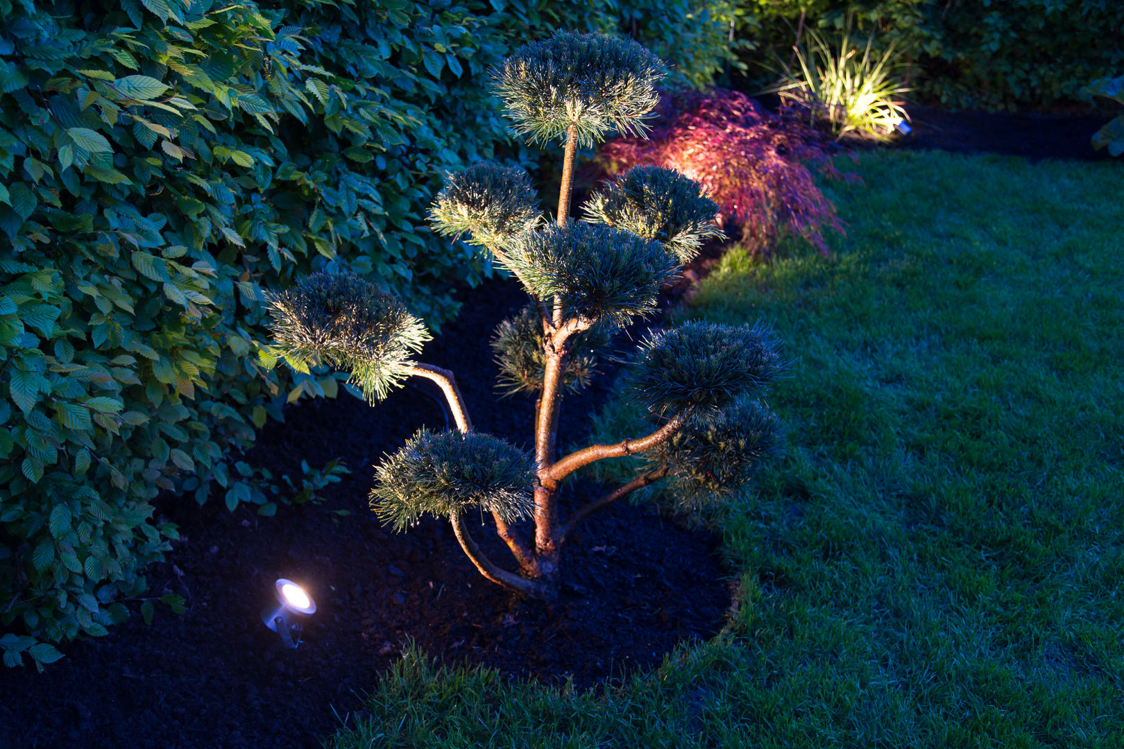 Emotionale Gartenbeleuchtung für 365 Tage Gartenerlebnis, Oswald Gärten Oswald Gärten Jardines eclécticos Iluminación