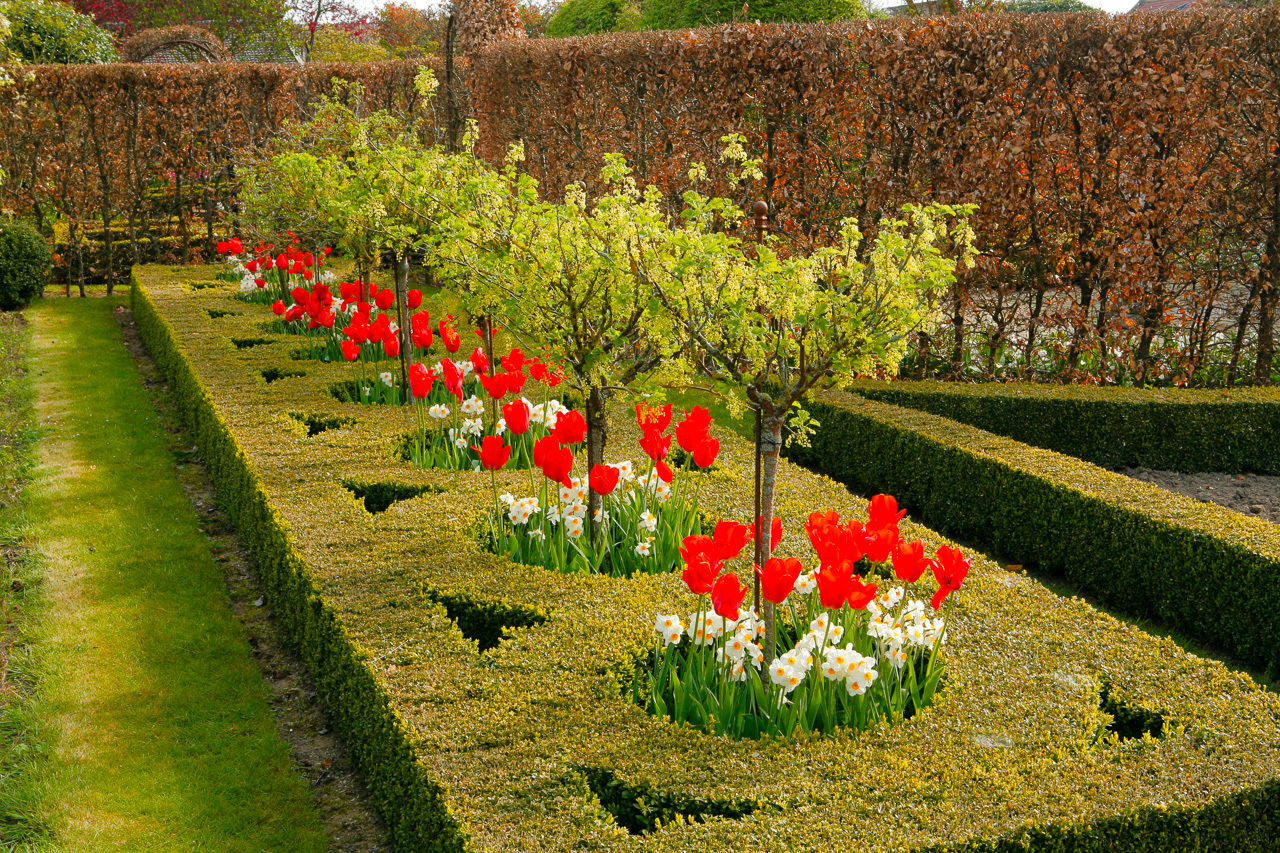 Volker Michael, Volker Michael Photography Volker Michael Photography Modern garden