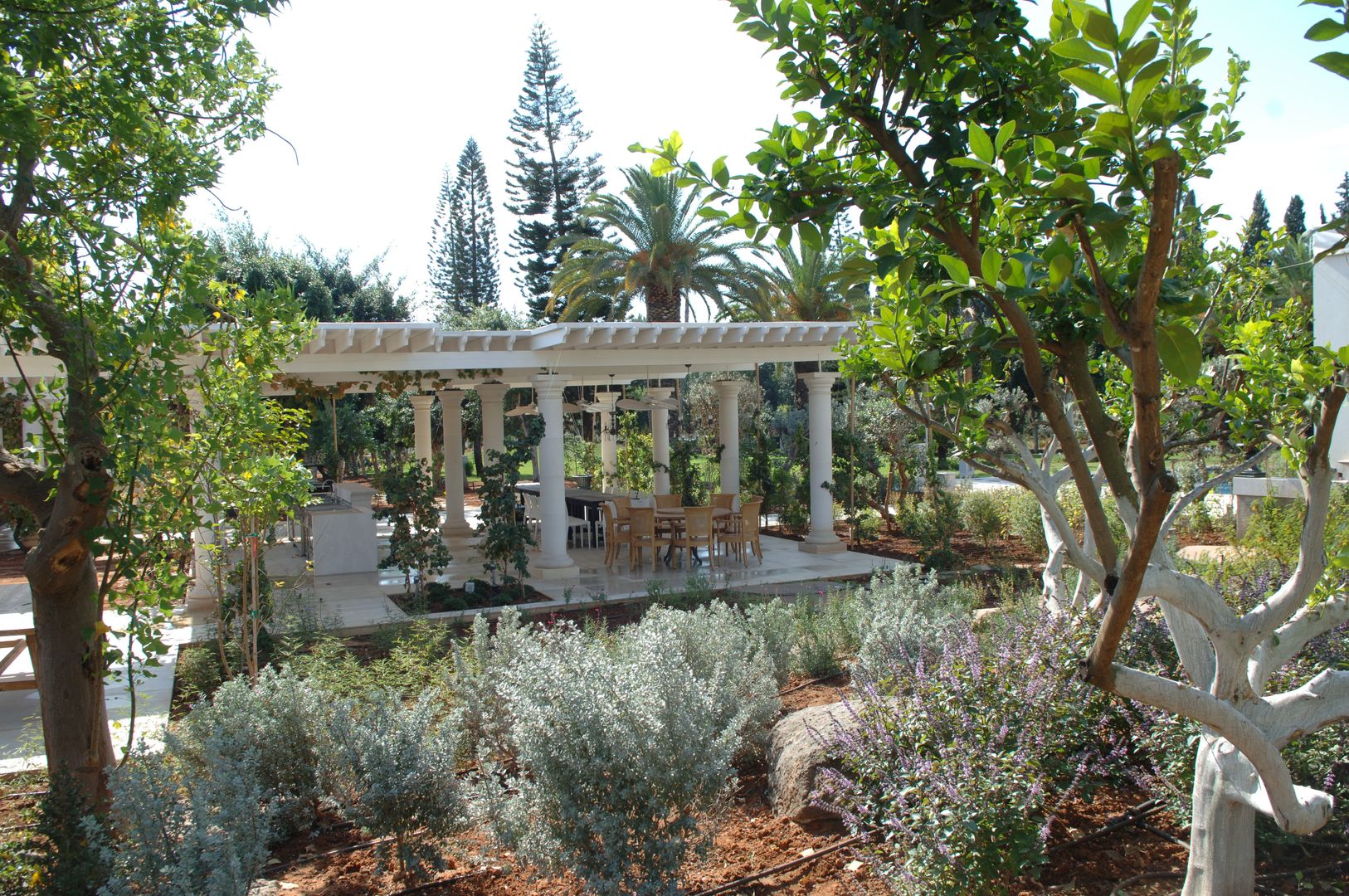 Villa in Tel Aviv, Scultura & Design S.r.l. Scultura & Design S.r.l. Eclectic style garden