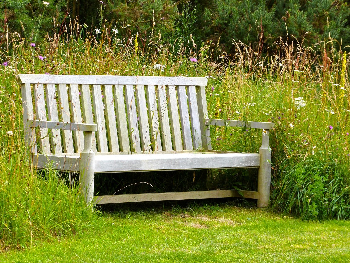 Jardin du Littoral, Landscapes & Cie Landscapes & Cie Jardin classique Banc extérieur,Plante,Meubles,Communauté végétale,mobilier urbain,Vert,Paysage naturel,Environnement naturel,Fleur,Rectangle