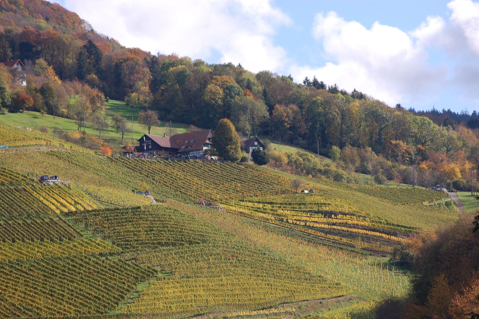 Schlafen im Weinfass, Schlafen im Weinfass Schlafen im Weinfass Maisons originales