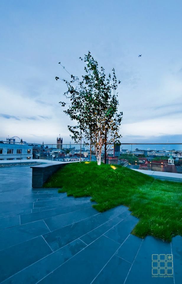 Victoria 1, London, Urban Roof Gardens Urban Roof Gardens Moderner Balkon, Veranda & Terrasse